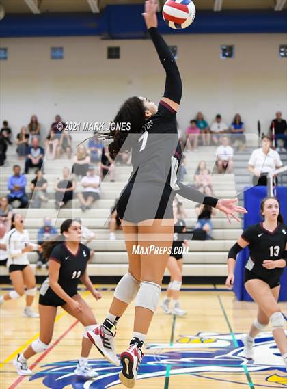 Thumbnail 1 in O'Connor vs. Hamilton photogallery.