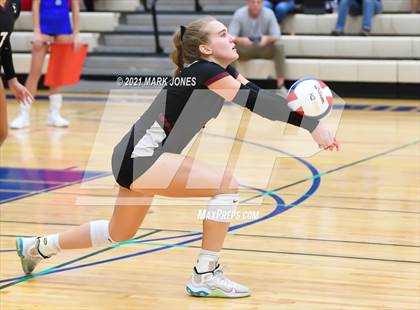 Thumbnail 2 in O'Connor vs. Hamilton photogallery.