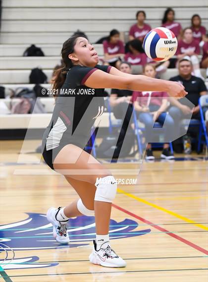 Thumbnail 2 in O'Connor vs. Hamilton photogallery.