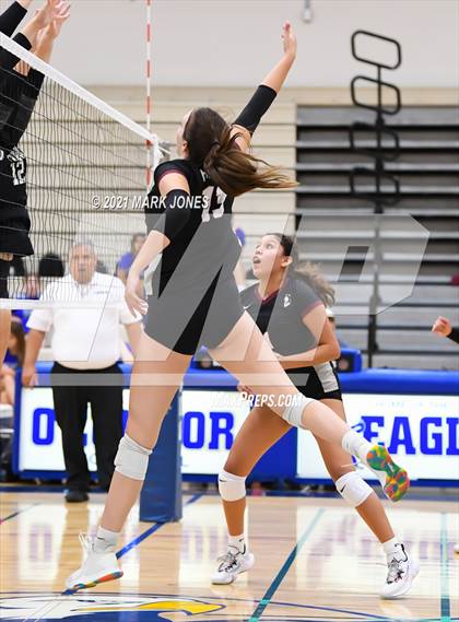 Thumbnail 1 in O'Connor vs. Hamilton photogallery.
