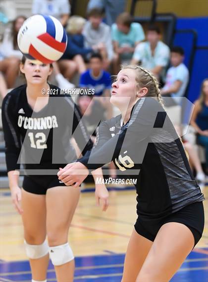 Thumbnail 3 in O'Connor vs. Hamilton photogallery.