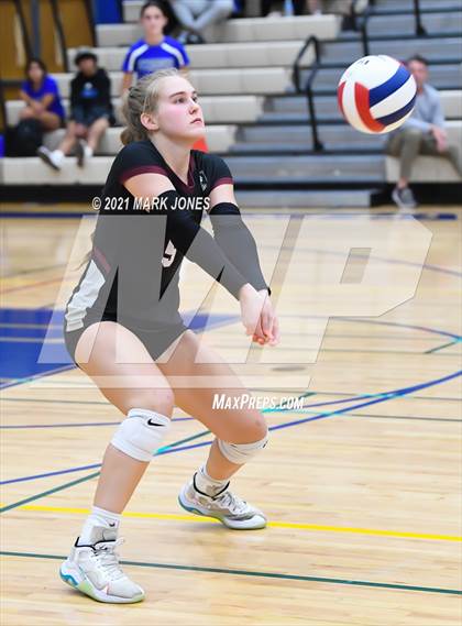Thumbnail 1 in O'Connor vs. Hamilton photogallery.