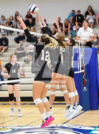 Thumbnail 3 in O'Connor vs. Hamilton photogallery.