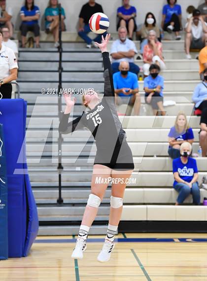 Thumbnail 3 in O'Connor vs. Hamilton photogallery.
