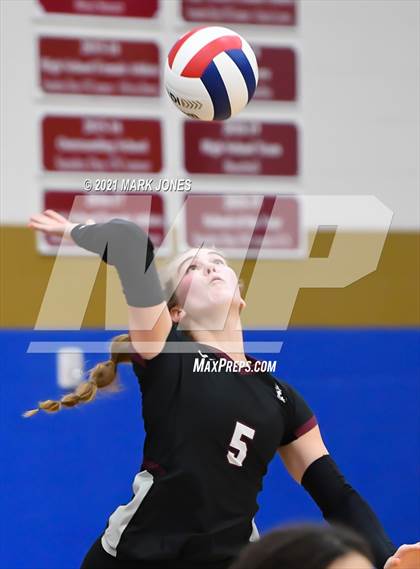Thumbnail 1 in O'Connor vs. Hamilton photogallery.