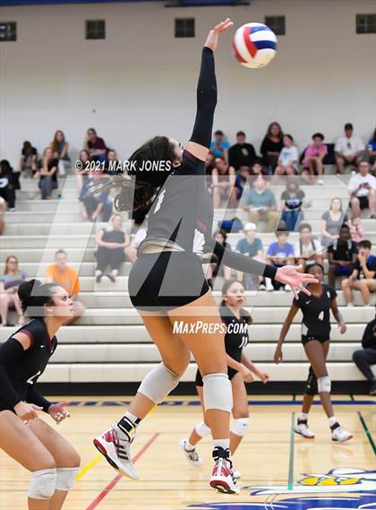 Thumbnail 3 in O'Connor vs. Hamilton photogallery.