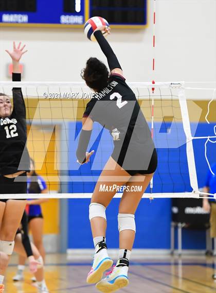 Thumbnail 2 in O'Connor vs. Hamilton photogallery.