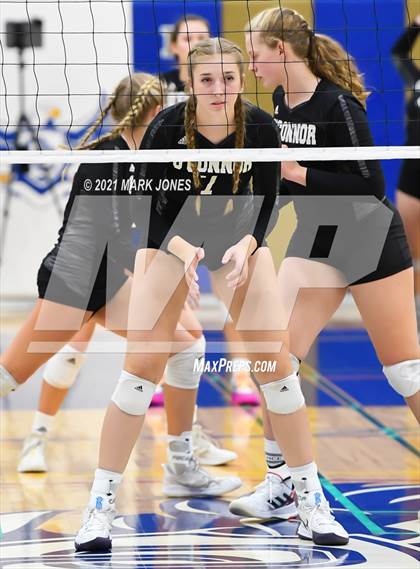 Thumbnail 2 in O'Connor vs. Hamilton photogallery.