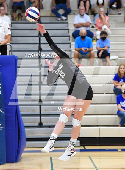 Thumbnail 1 in O'Connor vs. Hamilton photogallery.