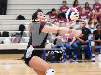 Thumbnail 3 in O'Connor vs. Hamilton photogallery.