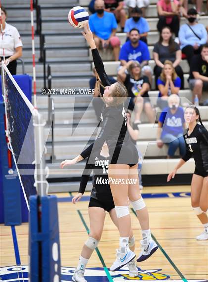 Thumbnail 2 in O'Connor vs. Hamilton photogallery.