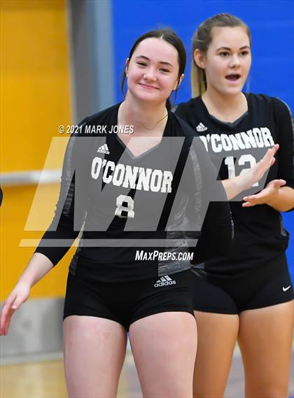 Thumbnail 3 in O'Connor vs. Hamilton photogallery.