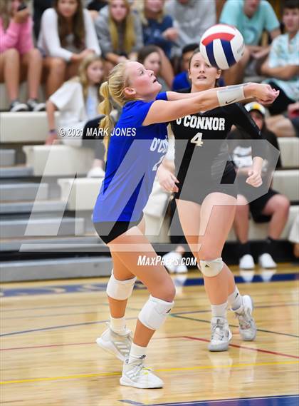 Thumbnail 2 in O'Connor vs. Hamilton photogallery.
