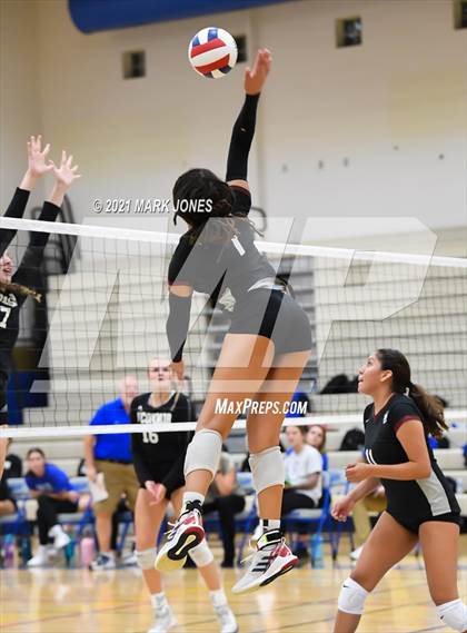 Thumbnail 1 in O'Connor vs. Hamilton photogallery.