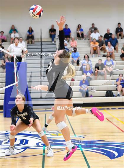Thumbnail 3 in O'Connor vs. Hamilton photogallery.