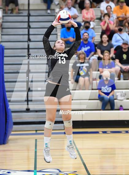 Thumbnail 3 in O'Connor vs. Hamilton photogallery.