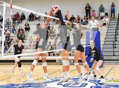 Thumbnail 3 in O'Connor vs. Hamilton photogallery.