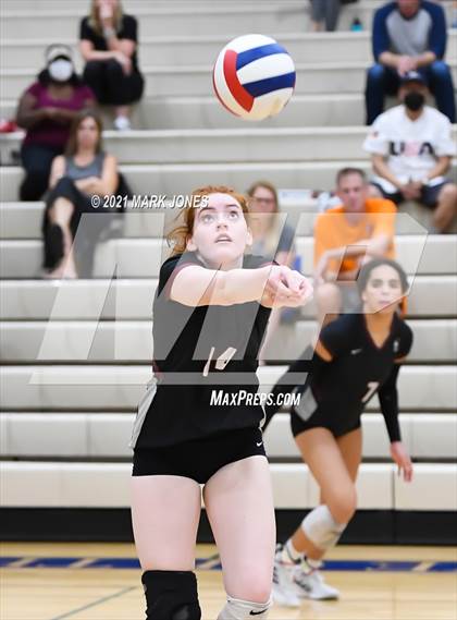 Thumbnail 2 in O'Connor vs. Hamilton photogallery.