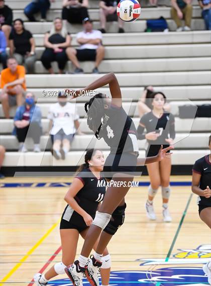 Thumbnail 3 in O'Connor vs. Hamilton photogallery.