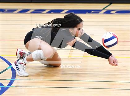 Thumbnail 1 in O'Connor vs. Hamilton photogallery.