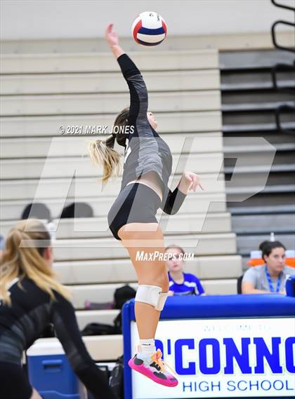 Thumbnail 3 in O'Connor vs. Hamilton photogallery.