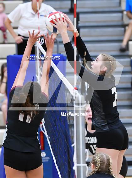 Thumbnail 1 in O'Connor vs. Hamilton photogallery.