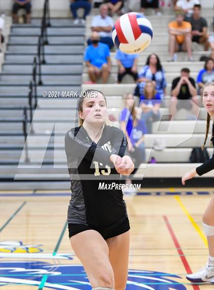 Thumbnail 1 in O'Connor vs. Hamilton photogallery.
