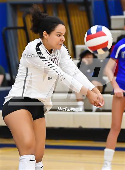 Thumbnail 2 in O'Connor vs. Hamilton photogallery.