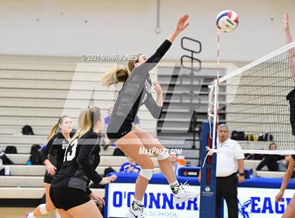 Thumbnail 3 in O'Connor vs. Hamilton photogallery.