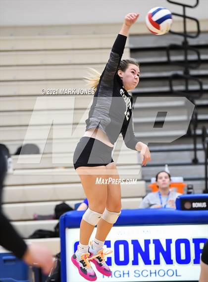 Thumbnail 2 in O'Connor vs. Hamilton photogallery.