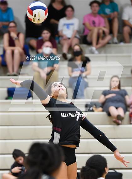 Thumbnail 2 in O'Connor vs. Hamilton photogallery.