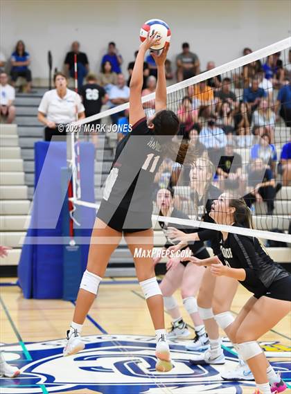 Thumbnail 3 in O'Connor vs. Hamilton photogallery.