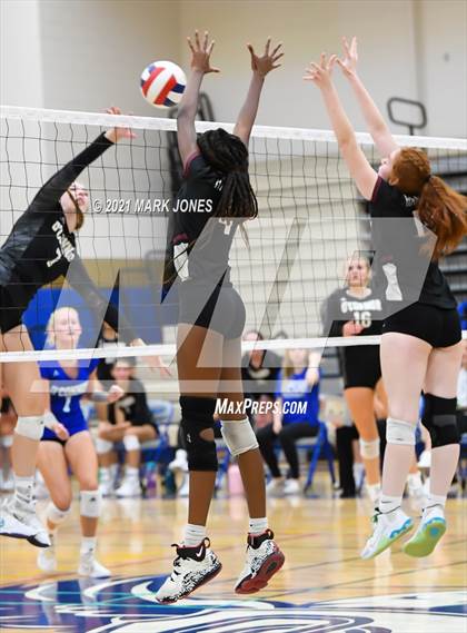 Thumbnail 3 in O'Connor vs. Hamilton photogallery.