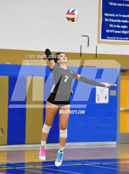 Thumbnail 3 in O'Connor vs. Hamilton photogallery.
