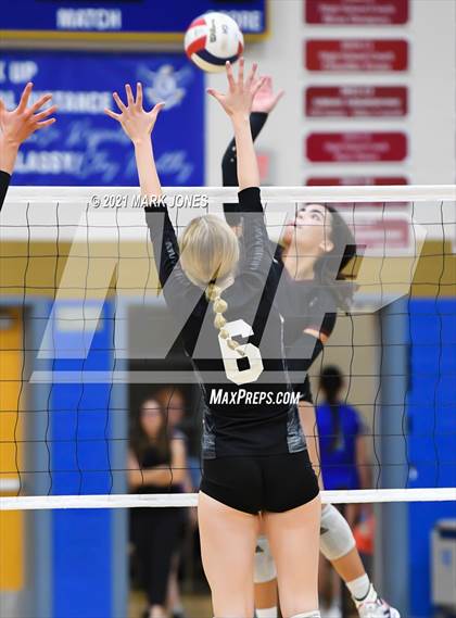Thumbnail 3 in O'Connor vs. Hamilton photogallery.