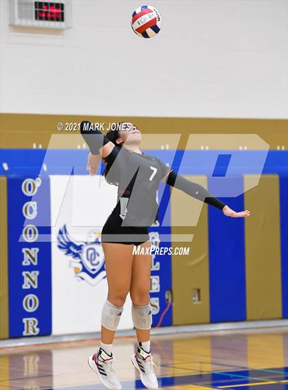 Thumbnail 1 in O'Connor vs. Hamilton photogallery.