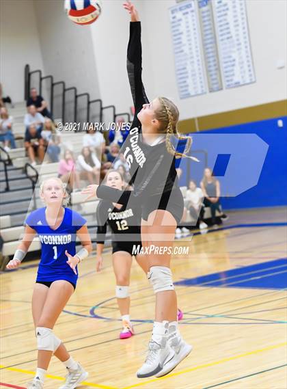 Thumbnail 3 in O'Connor vs. Hamilton photogallery.