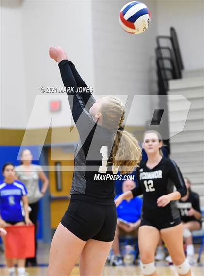Thumbnail 3 in O'Connor vs. Hamilton photogallery.