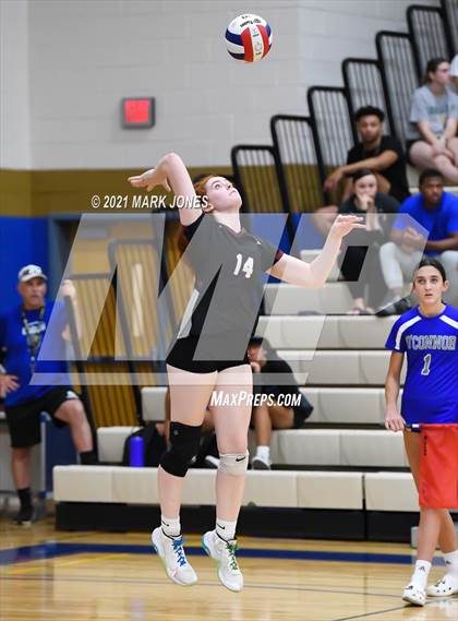 Thumbnail 3 in O'Connor vs. Hamilton photogallery.