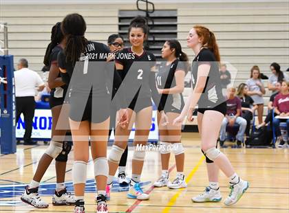 Thumbnail 2 in O'Connor vs. Hamilton photogallery.