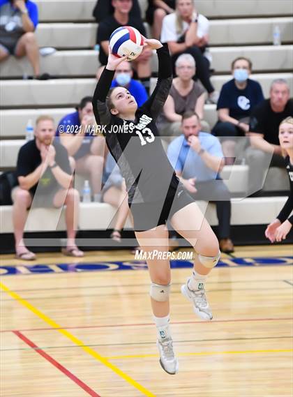 Thumbnail 3 in O'Connor vs. Hamilton photogallery.