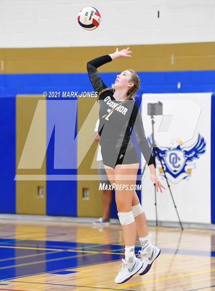 Thumbnail 3 in O'Connor vs. Hamilton photogallery.