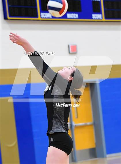 Thumbnail 3 in O'Connor vs. Hamilton photogallery.