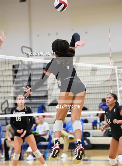Thumbnail 2 in O'Connor vs. Hamilton photogallery.
