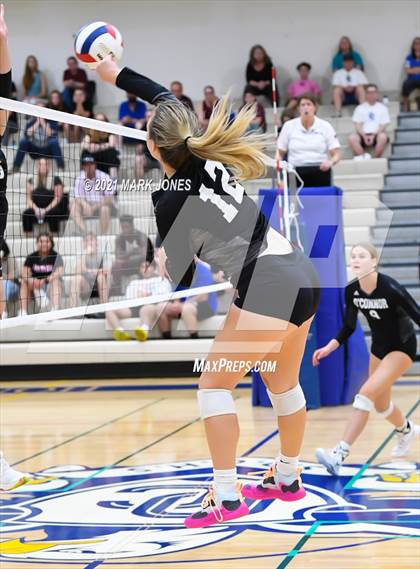 Thumbnail 3 in O'Connor vs. Hamilton photogallery.