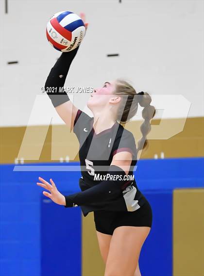 Thumbnail 3 in O'Connor vs. Hamilton photogallery.