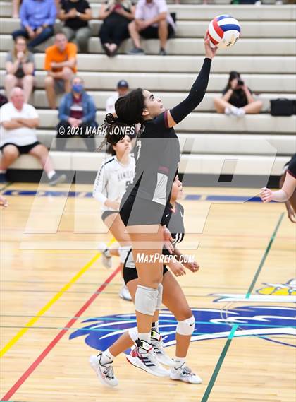 Thumbnail 3 in O'Connor vs. Hamilton photogallery.