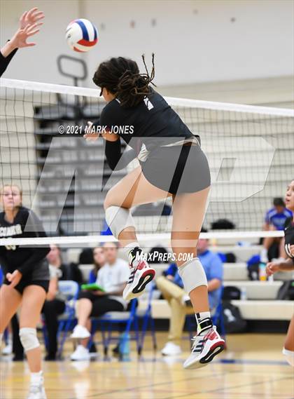 Thumbnail 1 in O'Connor vs. Hamilton photogallery.