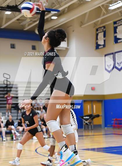 Thumbnail 2 in O'Connor vs. Hamilton photogallery.