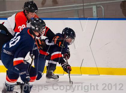 Thumbnail 2 in Greeley @ Pawling photogallery.